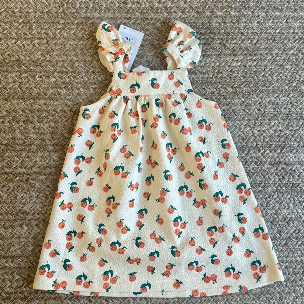NWT Zara Kids Peach Ruffle Sleeve Dress 3-4Y